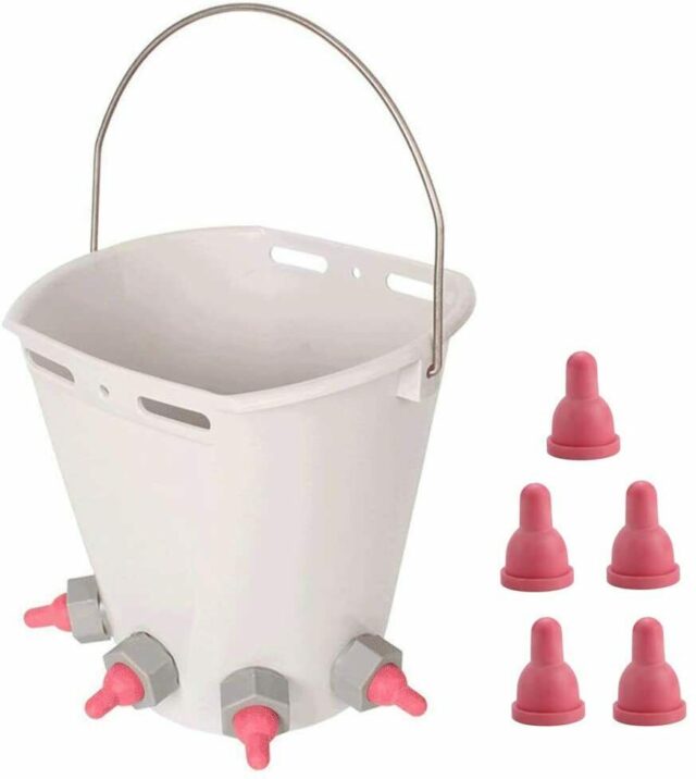 Lamb Milk Feeding bucket with 5 Teat - Image 5