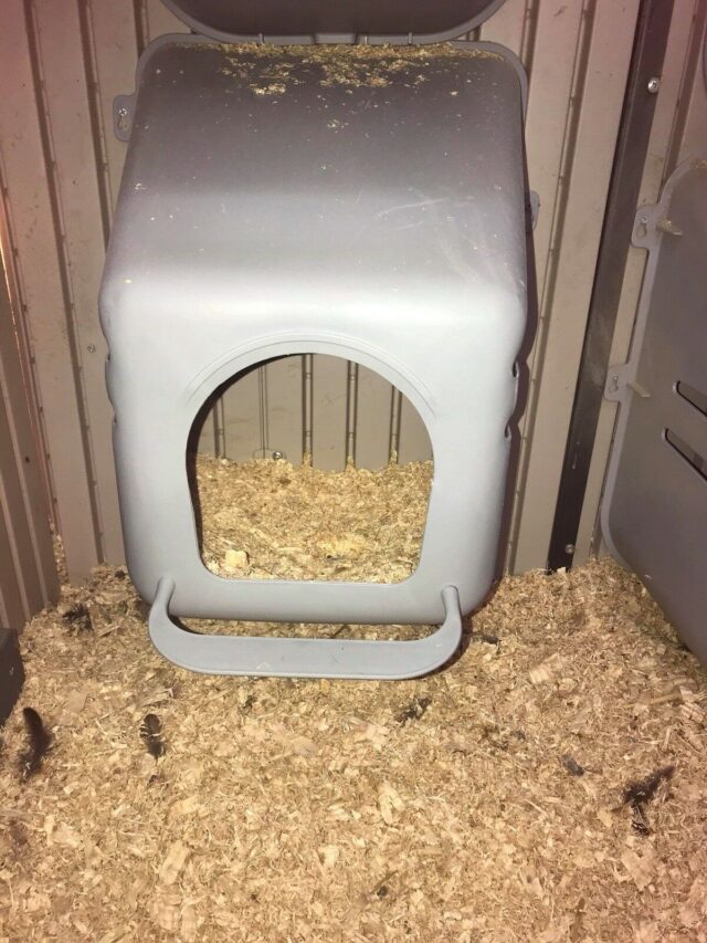 Nesting box and laying box - Image 5