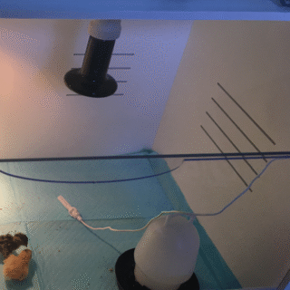 Brooder Kit with heat Lamp - Image 3