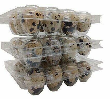 Quail Egg cartons for posting