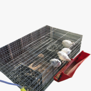 Cages for Quail farming - Image 2