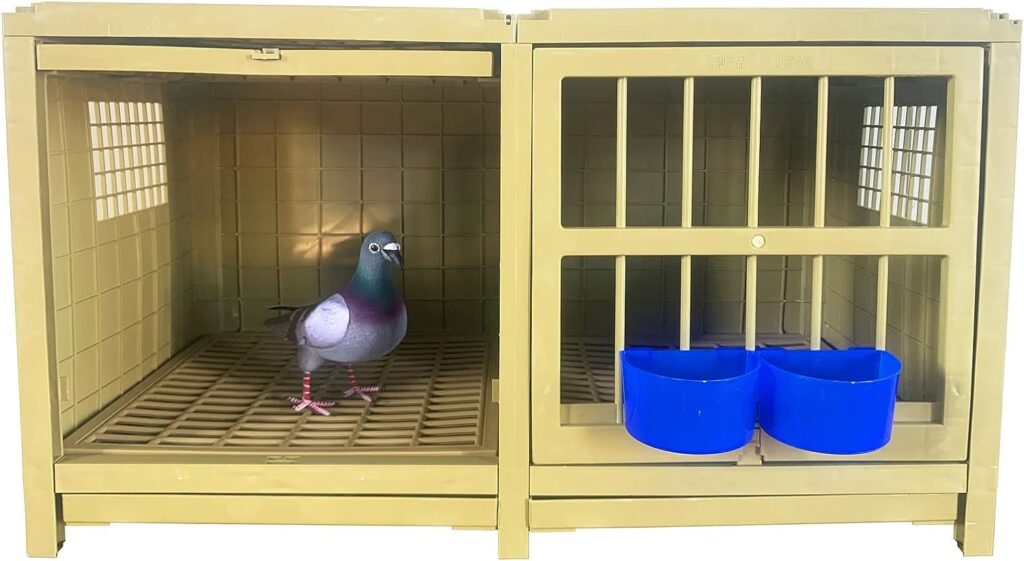 Accessories for Pigeons