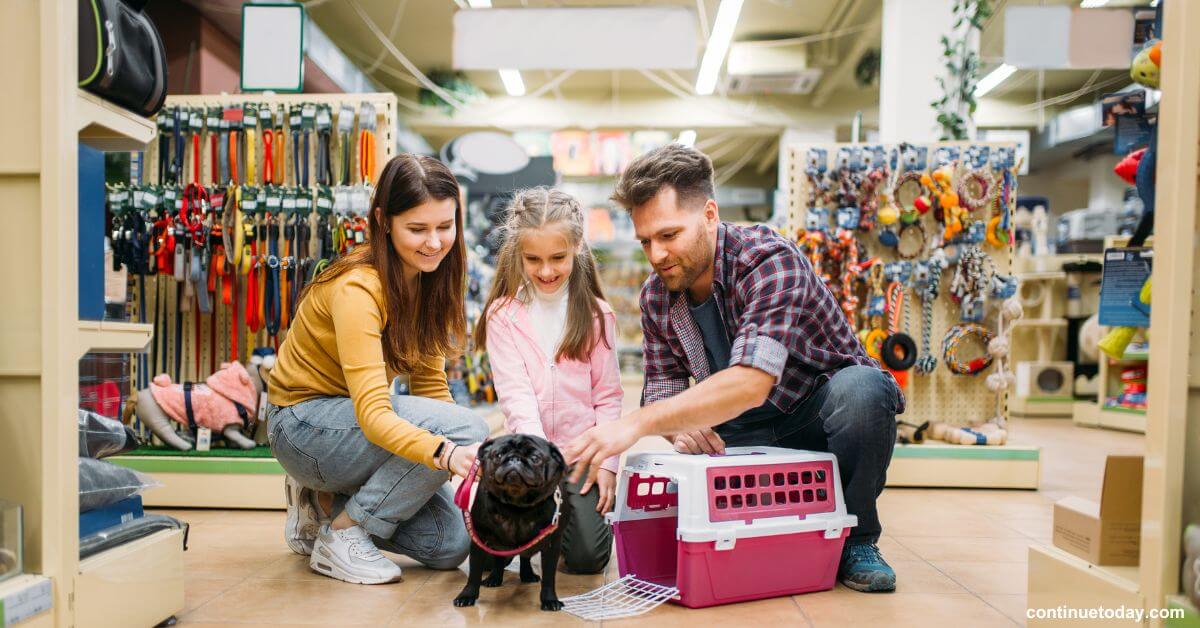 complete-pet-supplies-guide