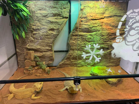 Right Enclosure Accessories