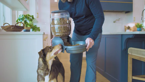 Durable Pet Accessories