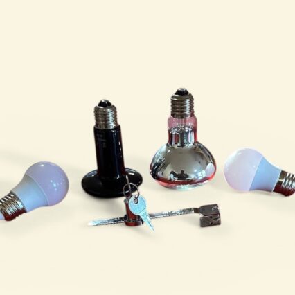 Lamps and Lock for Reptile Enclosure