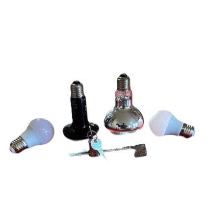 Lamps and Lock for Reptile Enclosure
