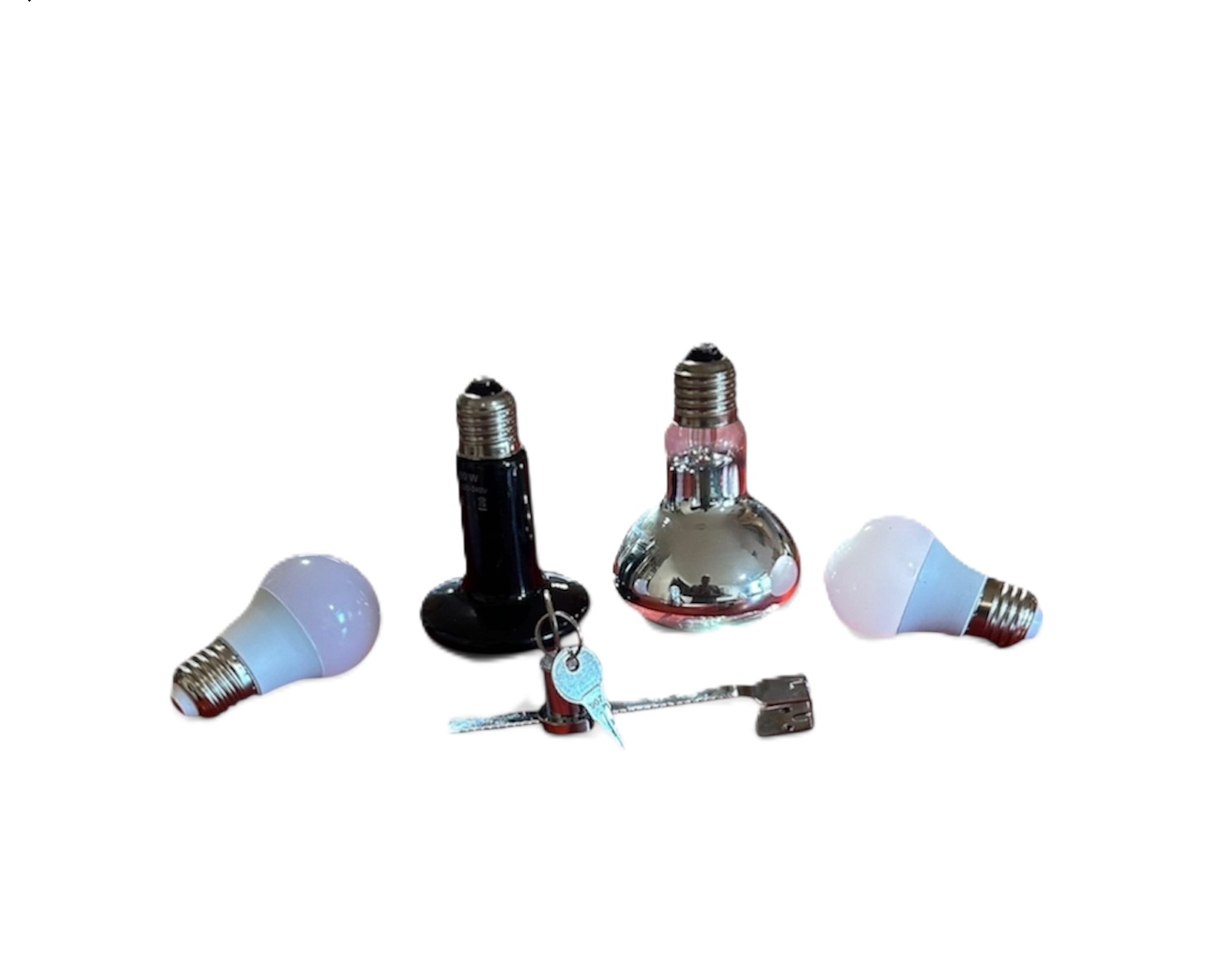 Lamps and Lock for Reptile Enclosure