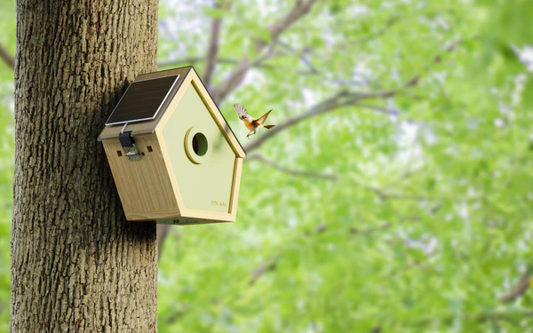 Balancing Comfort and Functionality in Bird Housing