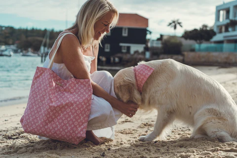 pet accessories in australia