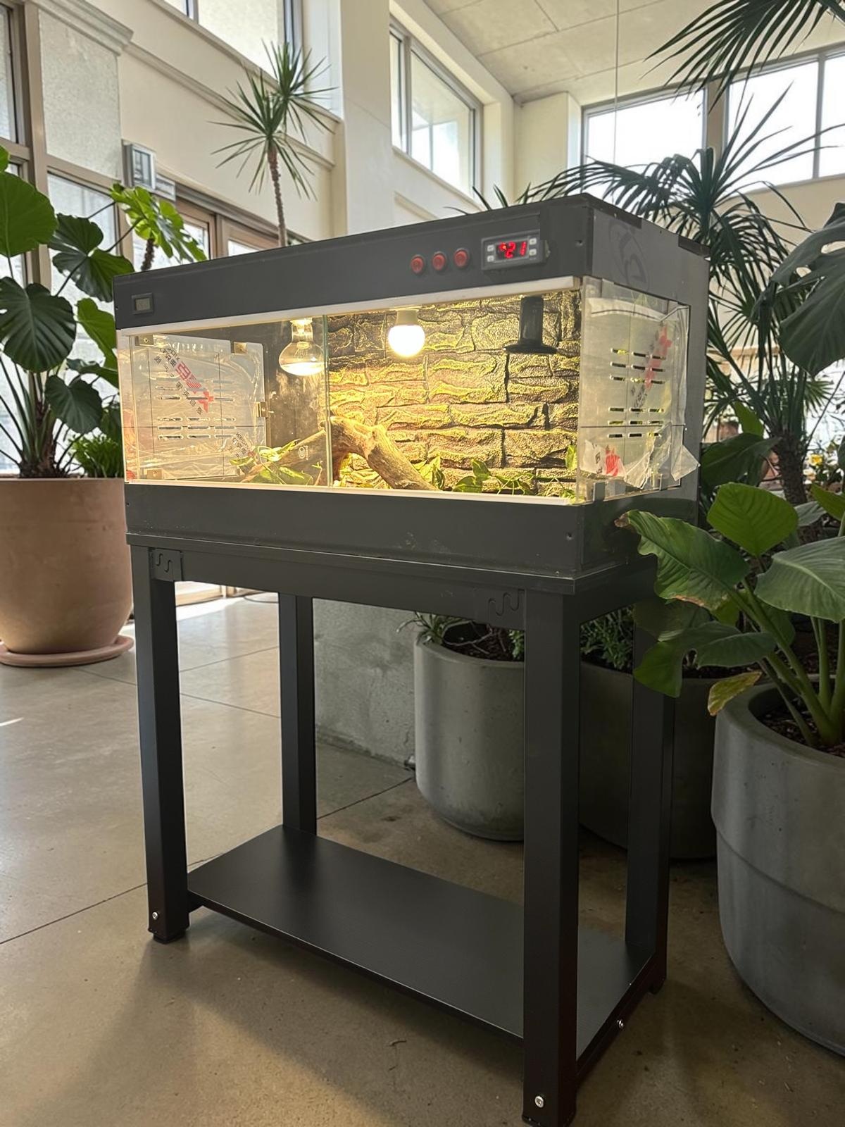 Reptile Enclosure Table/ Stand 3 Sizes - Image 5