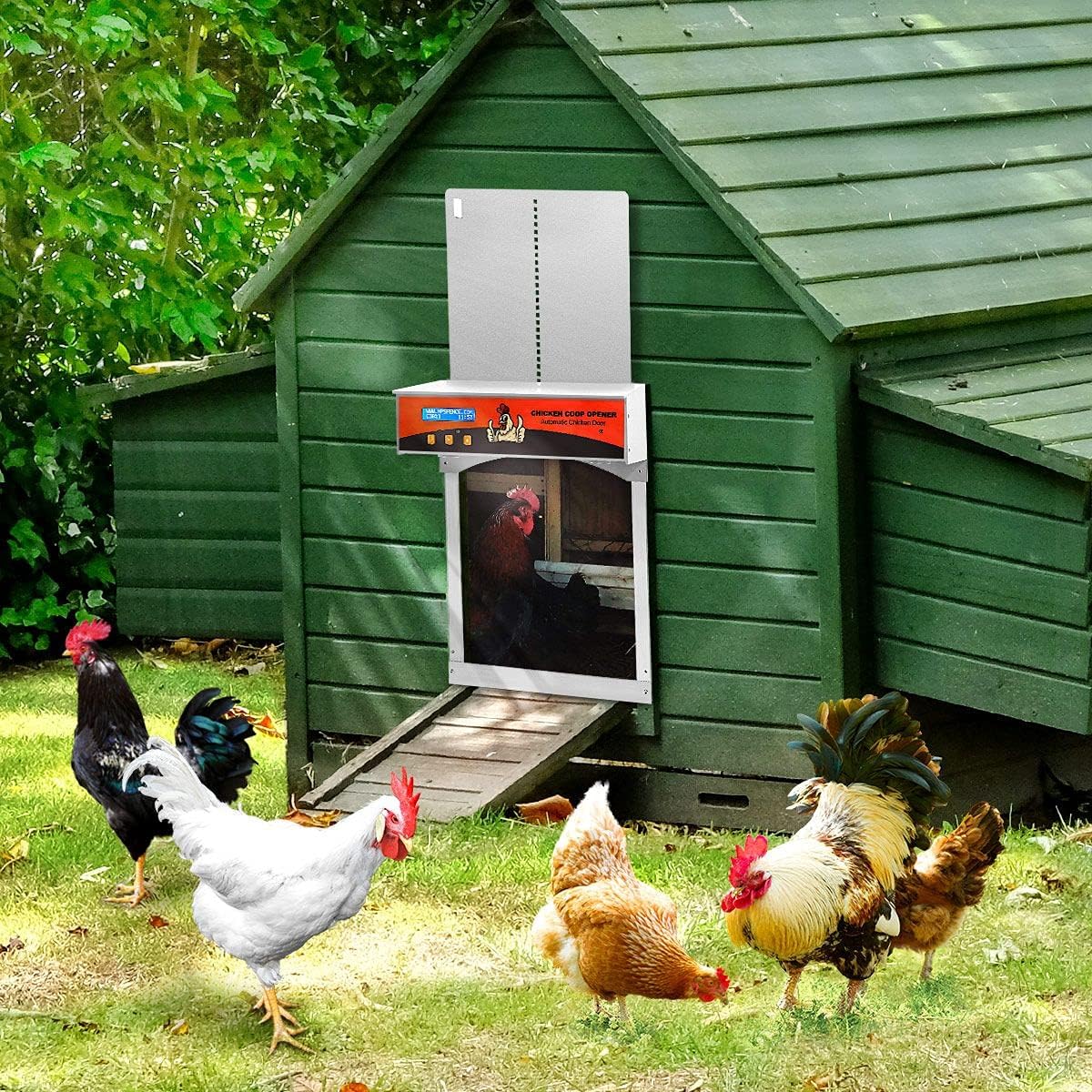 Automatic Coop Door - Image 2