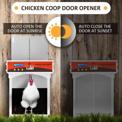 Automatic Coop Door