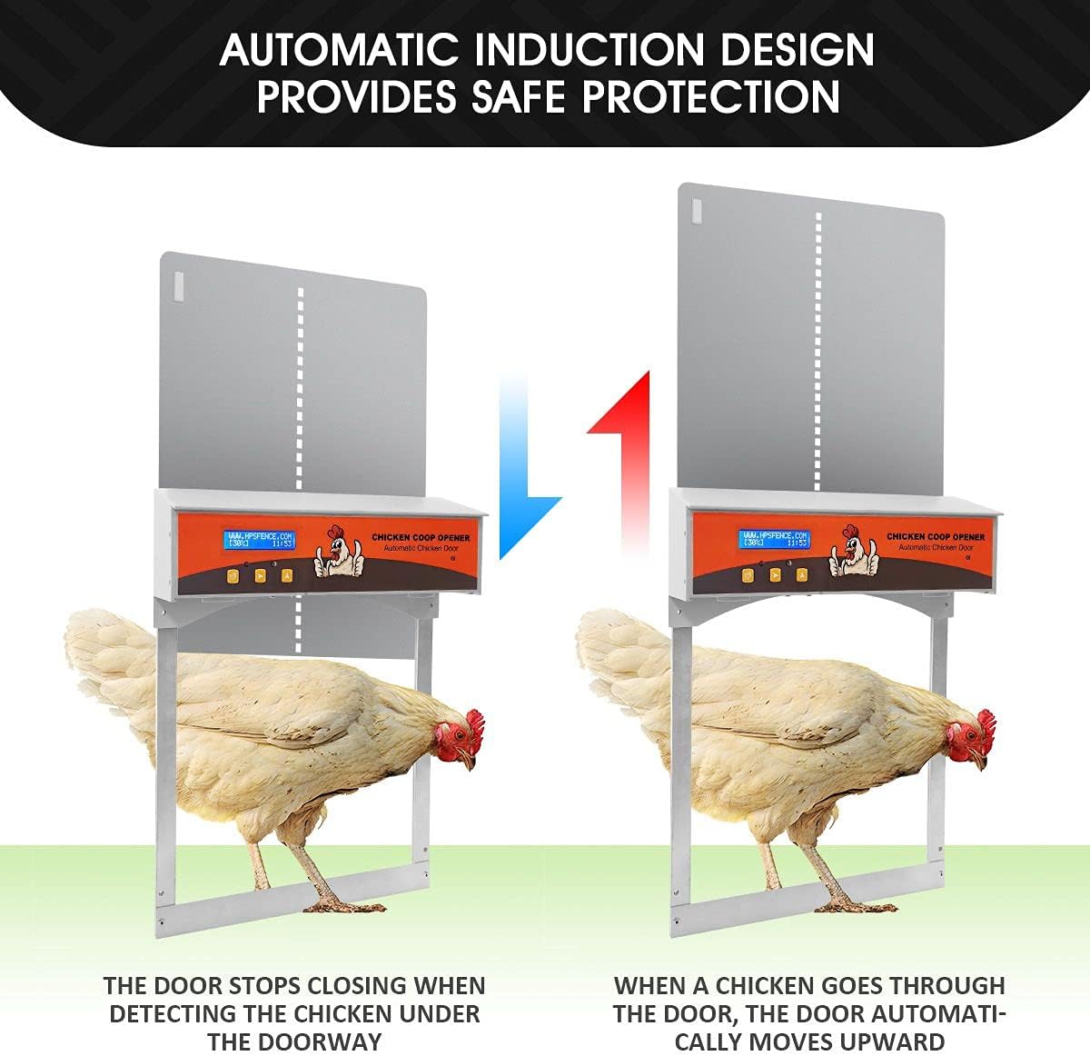 Automatic Coop Door - Image 7