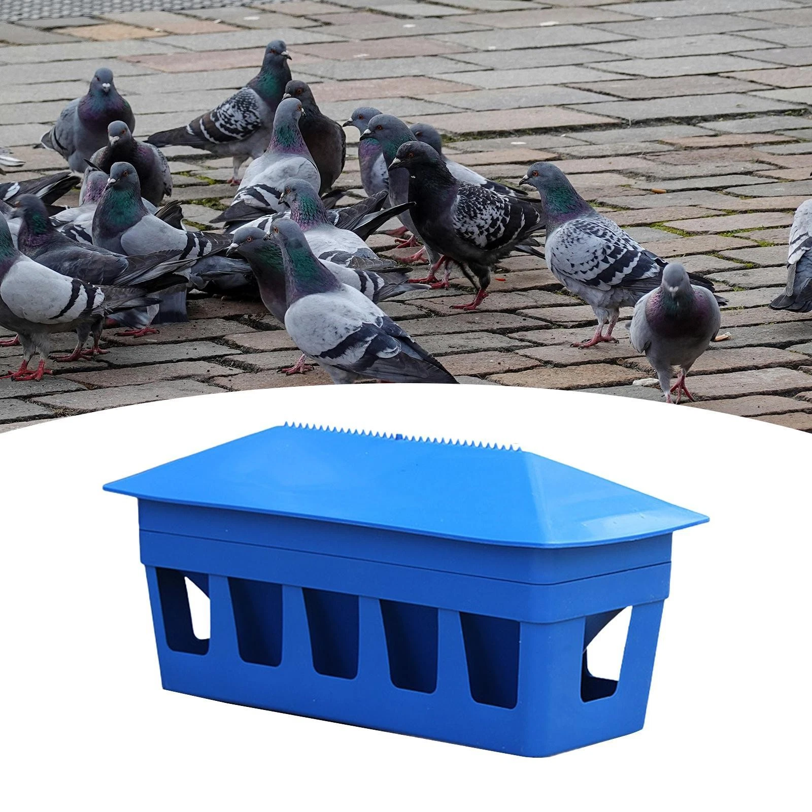 12 holes Automatic Pigeon Feeder